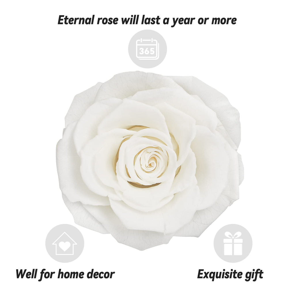 Preserved Real Rose Gift Box with I Love You Necklace, Handmade Eternal Rose Flower Gifts for Mum Mother Women Wife Girlfriend Her on Mothers Day, Birthday, Anniversary, Valentines Day, Christmas