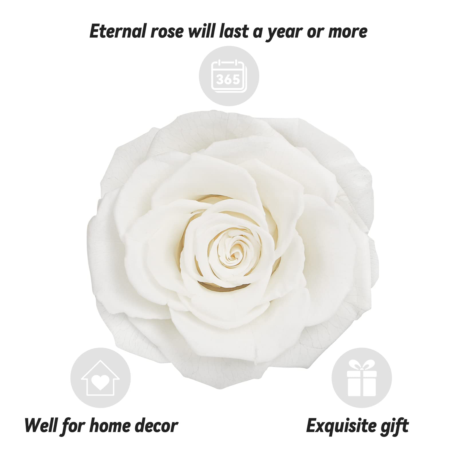 Preserved Real Rose Gift Box with I Love You Necklace, Handmade Eternal Rose Flower Gifts for Mum Mother Women Wife Girlfriend Her on Mothers Day, Birthday, Anniversary, Valentines Day, Christmas