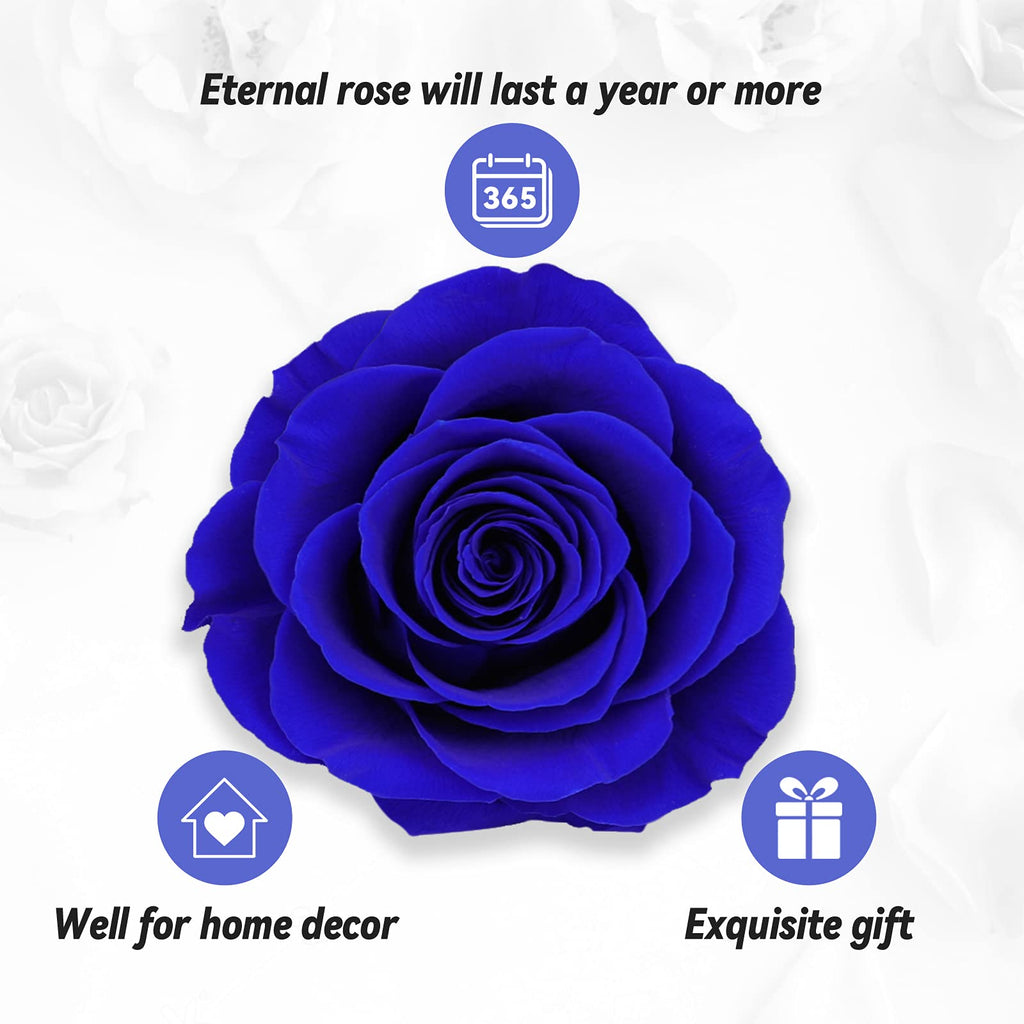Preserved Real Rose Gift Box with I Love You Necklace, Handmade Eternal Rose Flower Gifts for Mum Mother Women Wife Girlfriend Her on Mothers Day, Birthday, Anniversary, Valentines Day, Christmas