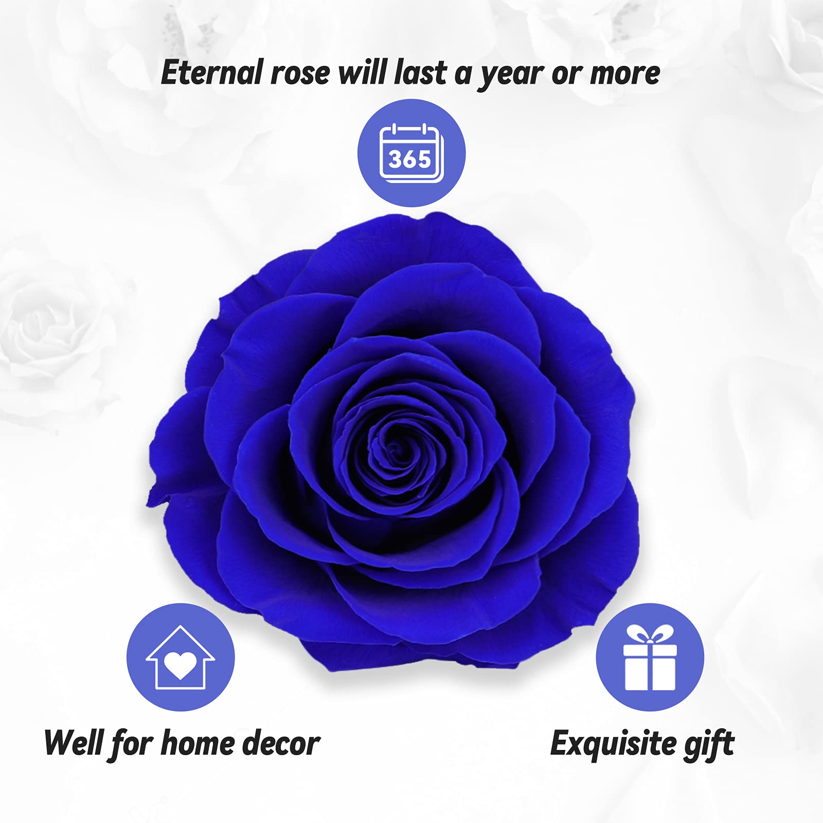 Preserved Real Rose Gift Box with I Love You Necklace, Handmade Eternal Rose Flower Gifts for Mum Mother Women Wife Girlfriend Her on Mothers Day, Birthday, Anniversary, Valentines Day, Christmas