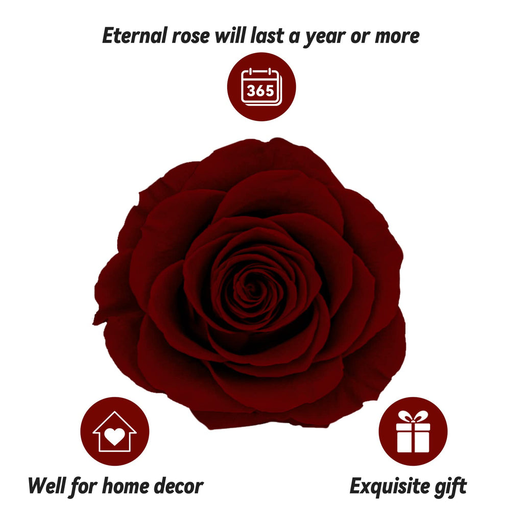 Preserved Real Rose Gift Box with I Love You Necklace, Handmade Eternal Rose Flower Gifts for Mum Mother Women Wife Girlfriend Her on Mothers Day, Birthday, Anniversary, Valentines Day, Christmas