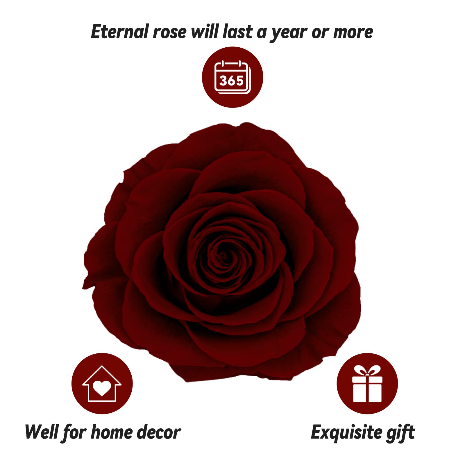 Preserved Real Rose Gift Box with I Love You Necklace, Handmade Eternal Rose Flower Gifts for Mum Mother Women Wife Girlfriend Her on Mothers Day, Birthday, Anniversary, Valentines Day, Christmas