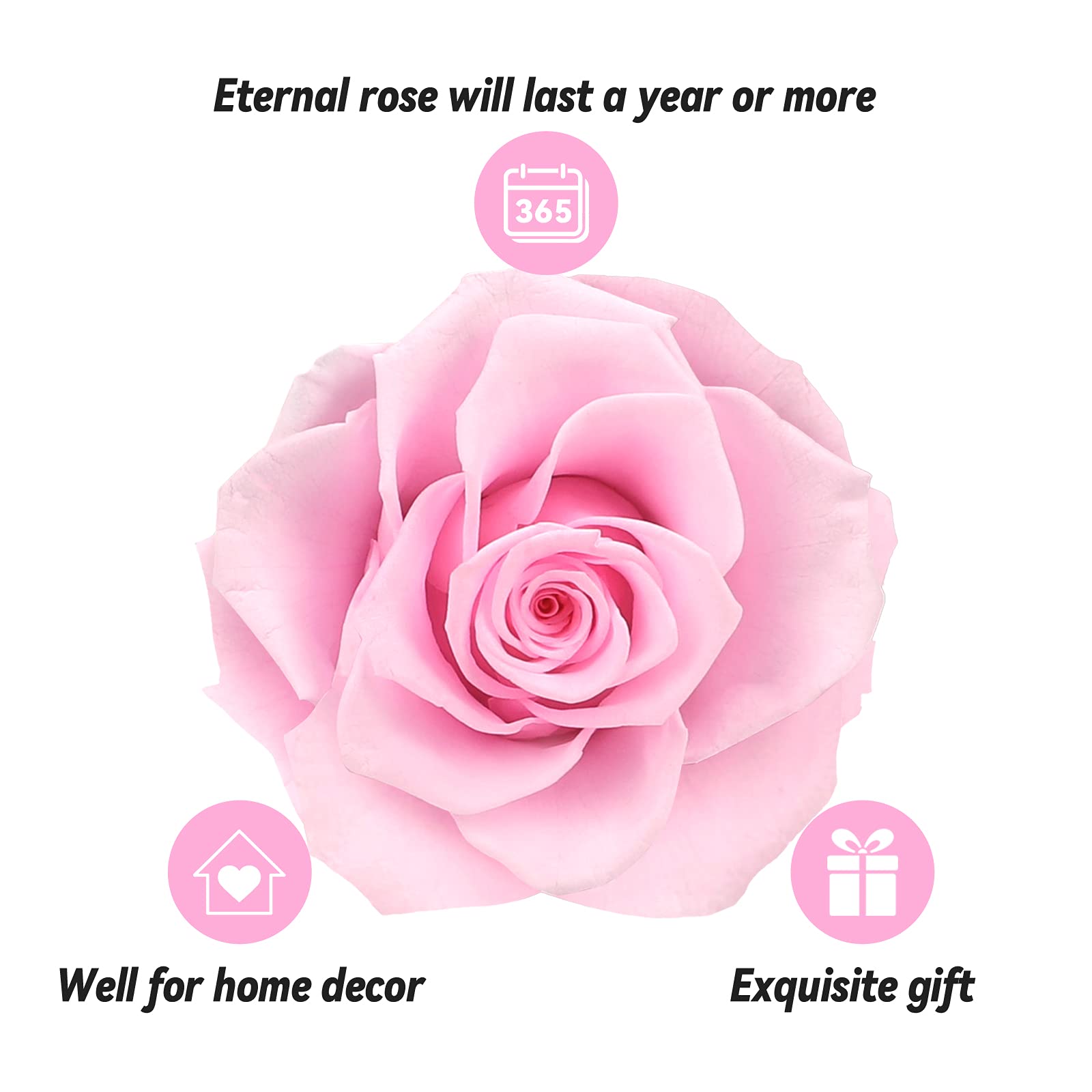 Preserved Real Rose Gift Box with I Love You Necklace, Handmade Eternal Rose Flower Gifts for Mum Mother Women Wife Girlfriend Her on Mothers Day, Birthday, Anniversary, Valentines Day, Christmas